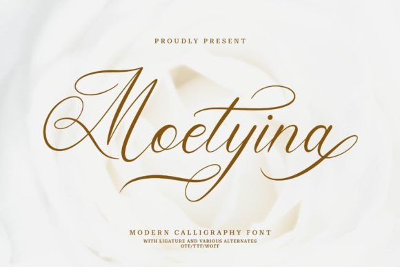 Moetyina Font Review: A Modern Script for Designers