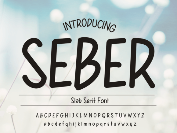Seber: The Friendly Handwritten Font for Campaigns