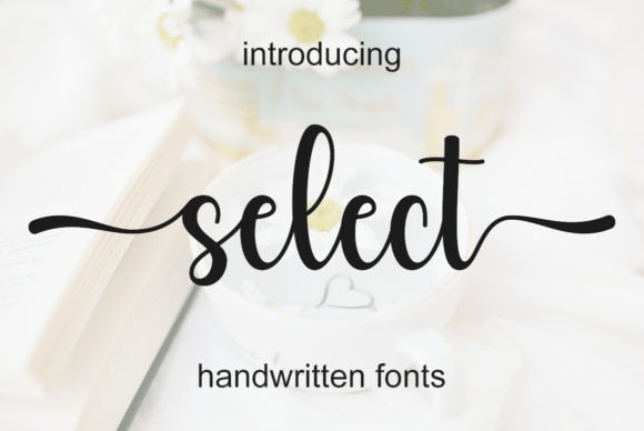 Select: The Elegant Script Font for Small Business Branding